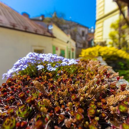 Penzion U Hradku Kutná Hora Exteriör bild
